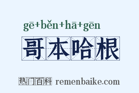 哥本哈根是什么意思的图片